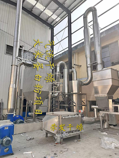 大米蛋白粉烘干項目